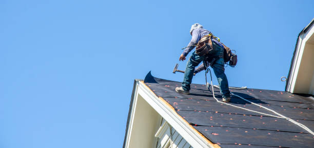 Roof Gutter Cleaning in Coal City, IL